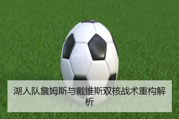 湖人队詹姆斯与戴维斯双核战术重构解析